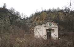 8491445.jpg