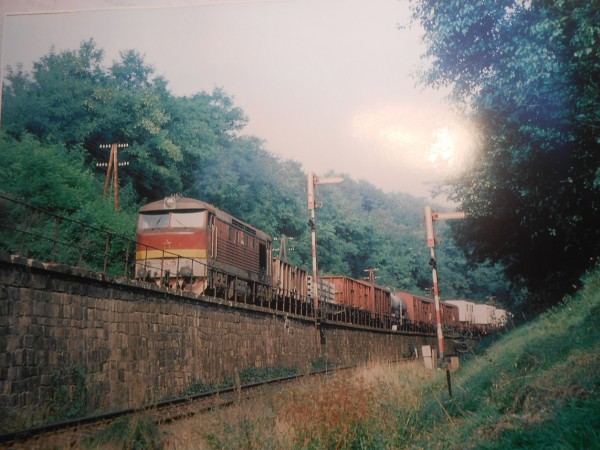DSCN4203.JPG