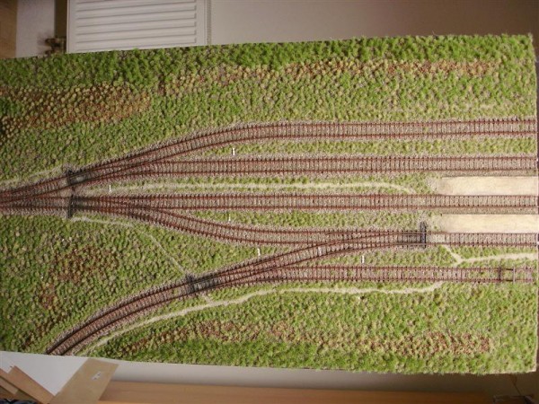 DSC01547 (Medium).JPG