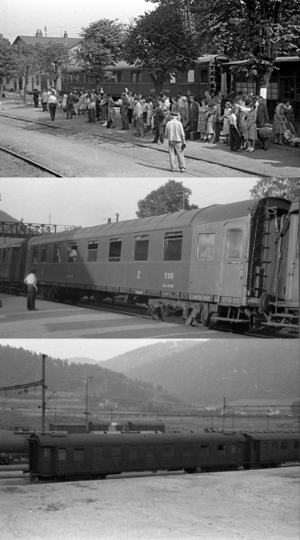ffoto M. Knizek.jpg