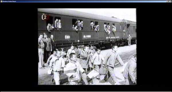 Ala 1-0102.jpg