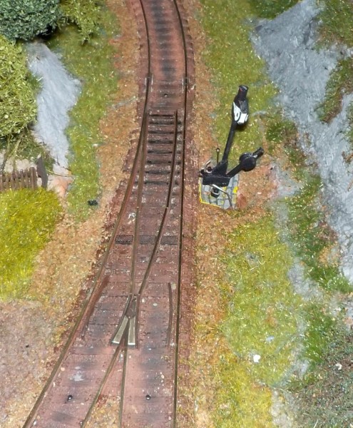 DSCN2050.JPG
