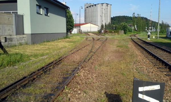 20150602_180235a.jpg