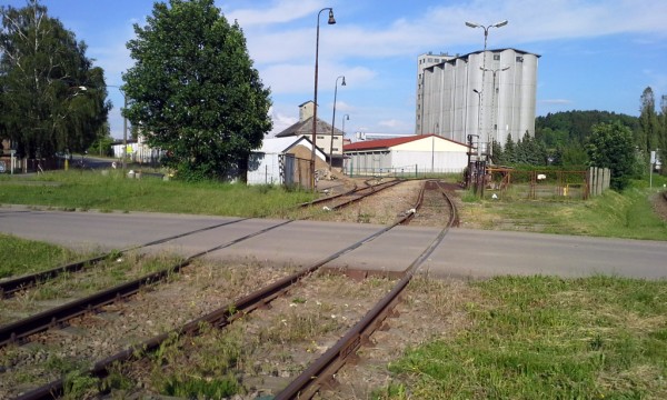 20150602_180532a.jpg