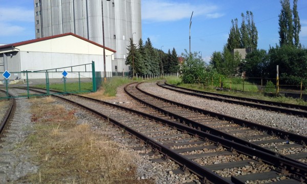 20150602_181012a.jpg