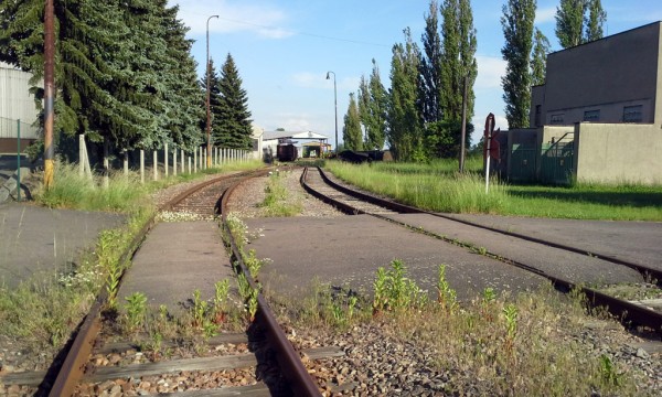 20150602_181204a.jpg