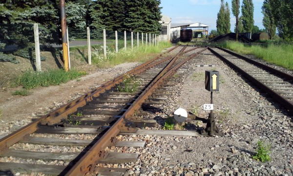 20150602_181256a.jpg
