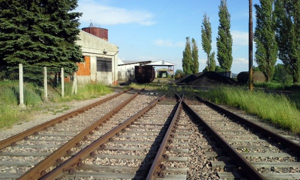 20150602_181323a.jpg