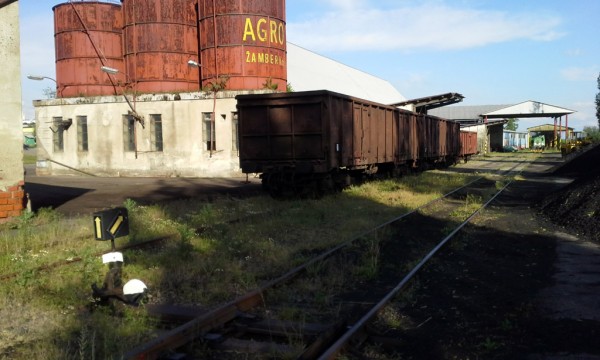 20150602_181659a.jpg