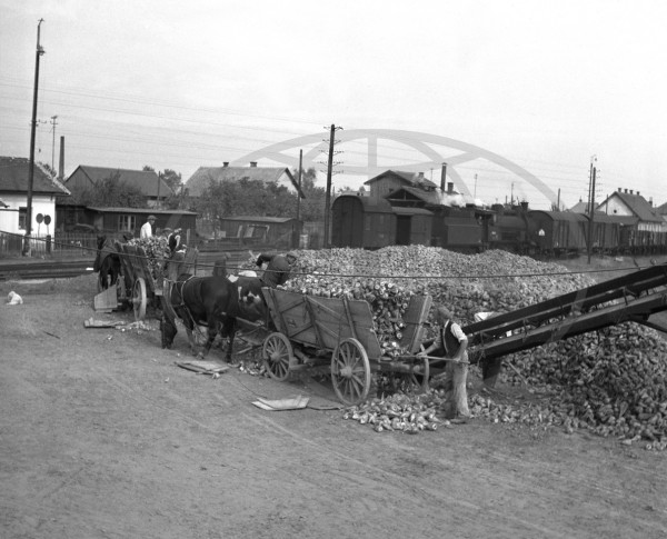 F200808140056401.jpg (638.08 KiB) Zobrazeno 5492 krát F200808140056401.jpg