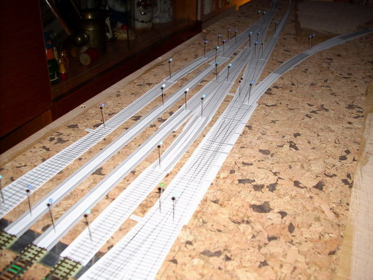 Kopie - ZHLAVÍ 1-2.jpg