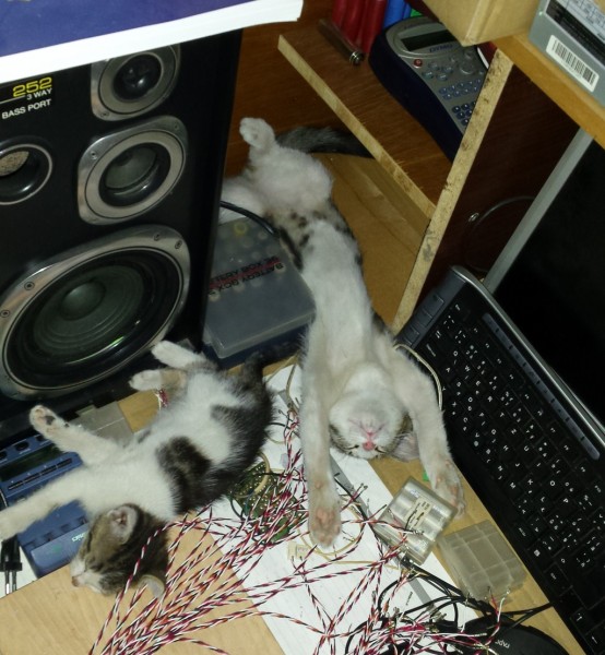 kocour-elektrikar.jpg