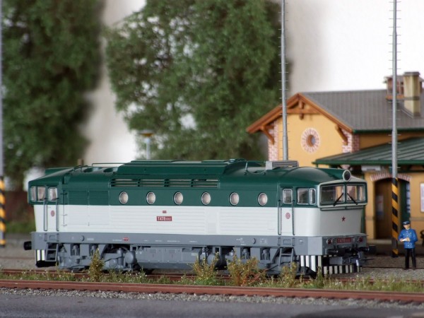 T478.3082 Brejlovec.jpg