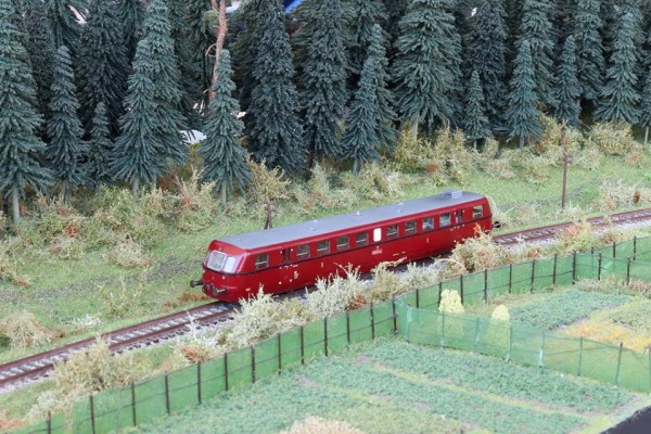 11947596_463644987140089_6732715019149220223_n.jpg (153.76 KiB) Zobrazeno 9148 krát 11947596_463644987140089_6732715019149220223_n.jpg