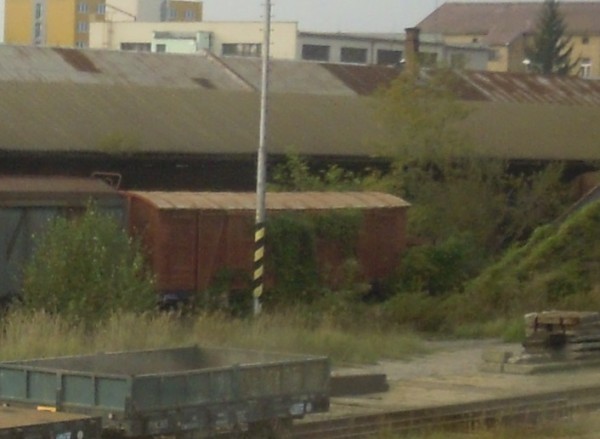 DSCN4383 – dlouhá zetka.JPG