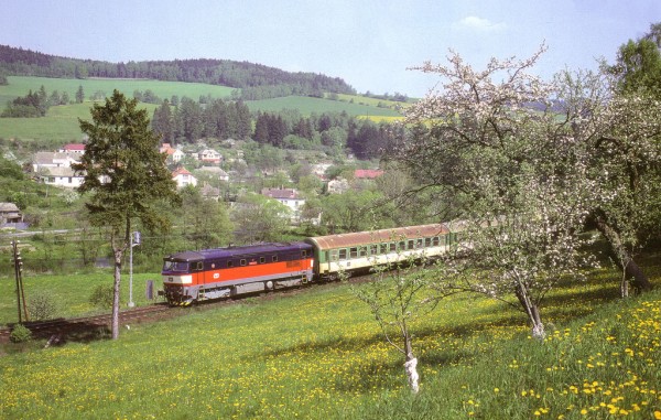 749.121  Luka n.J. kalendář 1995.jpg