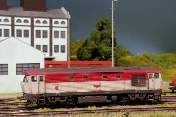 TMB_6355.JPG