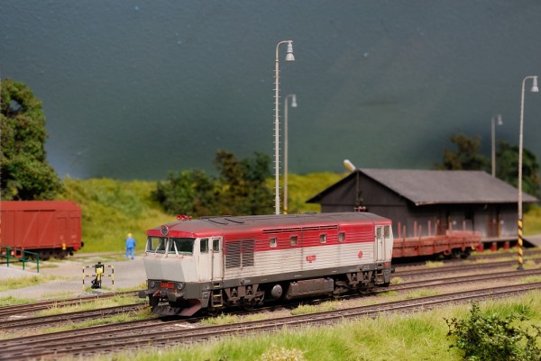 TMB_6356.JPG