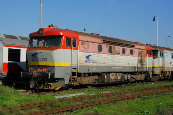 DSC_4951.jpg