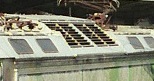 E630.jpg