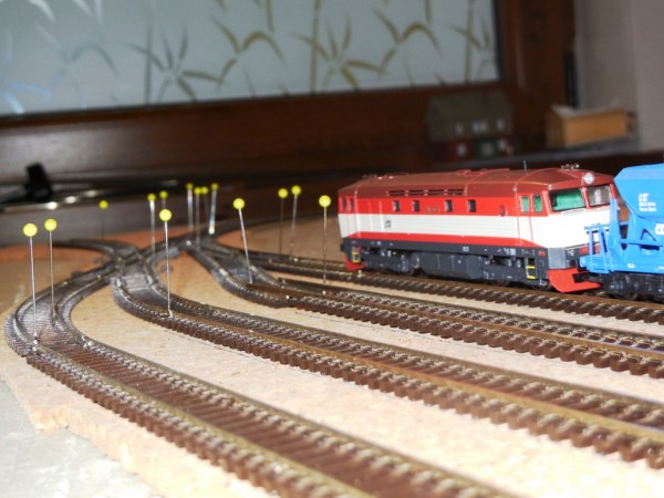 DSCN7088.JPG