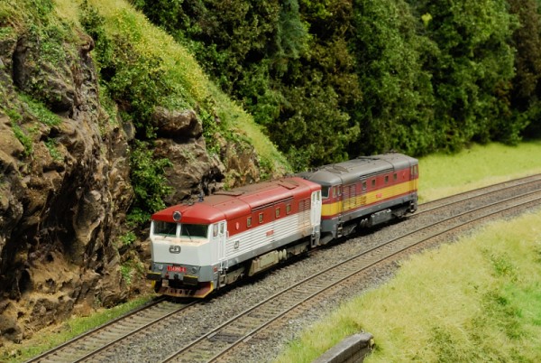 TMB_6852.JPG