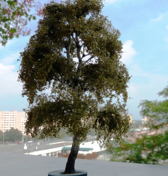 P1000537 - kopie.JPG