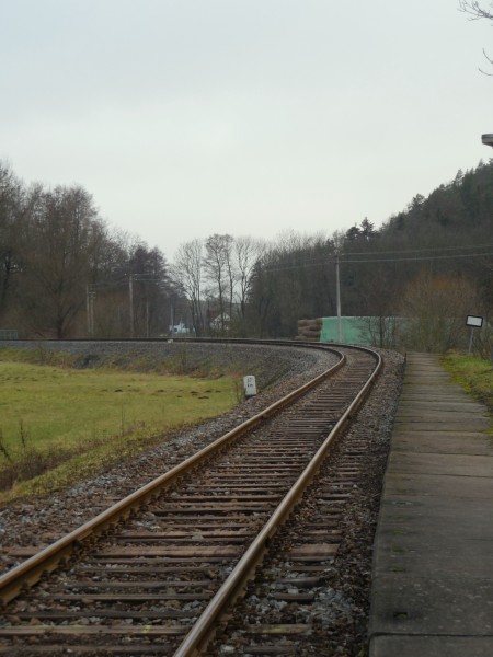 DSCN7038.JPG