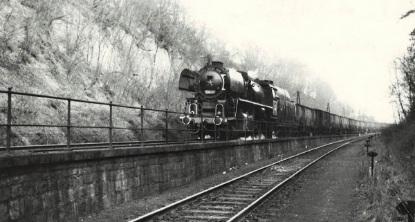 293.jpg