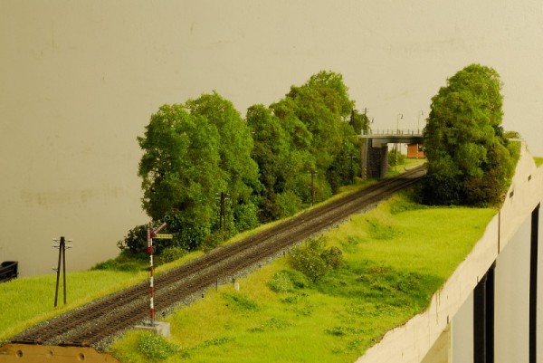 TMB_2658_01.JPG