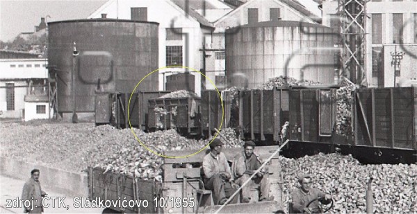 ul_1955.jpg