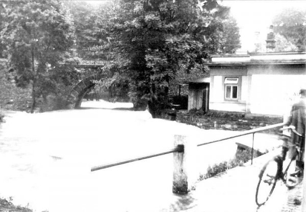 Fryželka.jpg