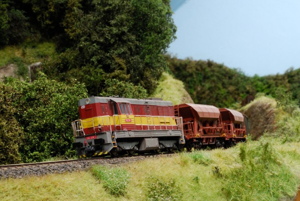 TMB_2815.JPG