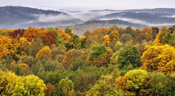 barvy-podzimu-1.-misto.jpg