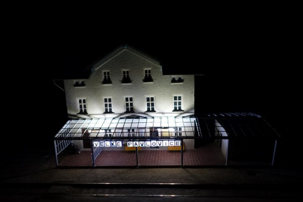 DSC01235 (Medium).JPG