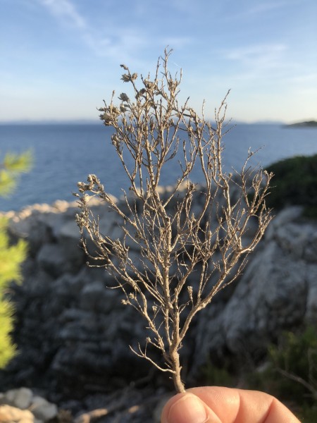 4555D7BE-324A-406F-9178-AF3BDABD2C6A.jpeg (717.02 KiB) Zobrazeno 2937 krát 4555D7BE-324A-406F-9178-AF3BDABD2C6A.jpeg