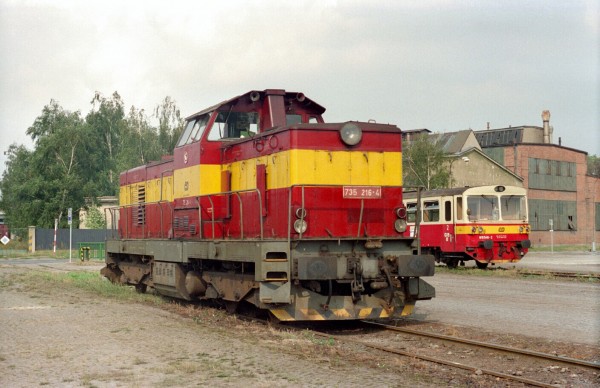 mzd6.jpg