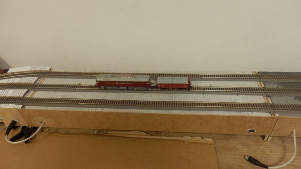 P5103425.JPG