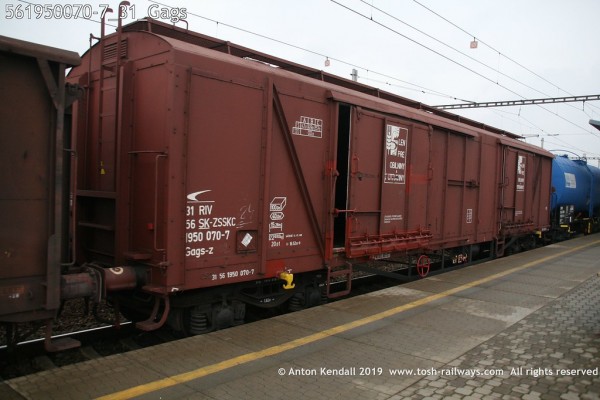 i-CMnz2gp-XL.jpg