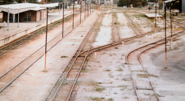 09.jpg