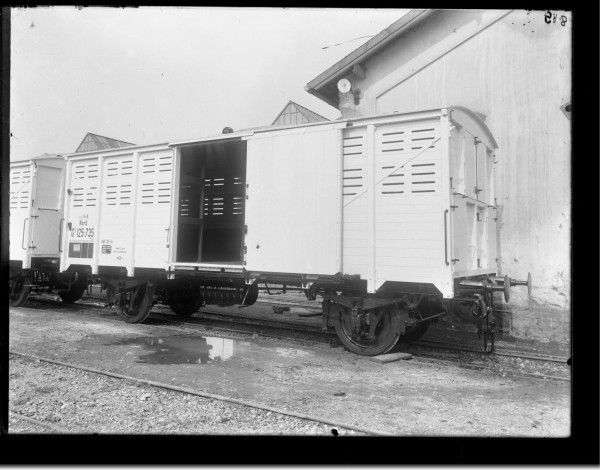 _Ne_V_00886.jpg (228.87 KiB) Zobrazeno 3647 krát _Ne_V_00886.jpg