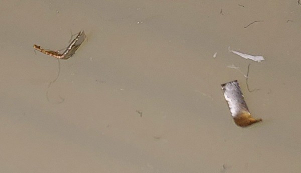 20220127_143544.jpg