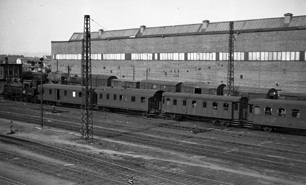 CSD-00000254126.jpg