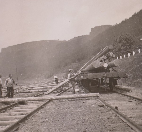 Tetschen-Decin_ProstredniZleb_prekladiste-drevo_1939_df_hauptkatalog_0074462.jpg