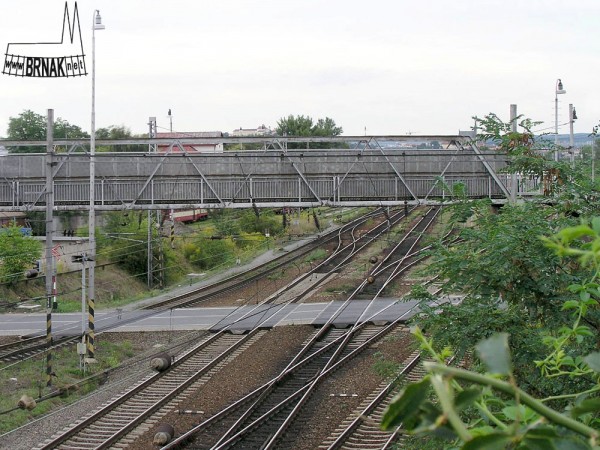 x07974.jpg