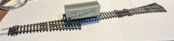 IMG_1435.jpeg