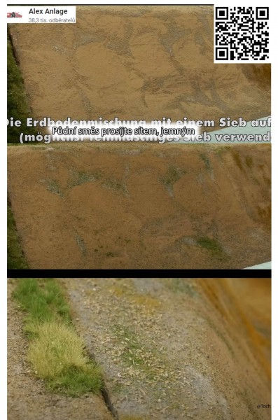grass_1.jpg