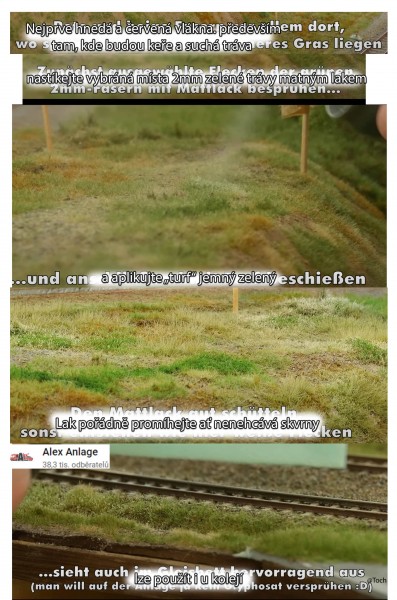 grass_3.jpg