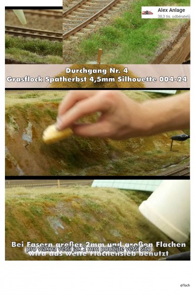 grass_4.jpg