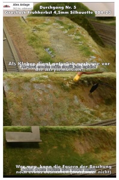 grass_5.jpg